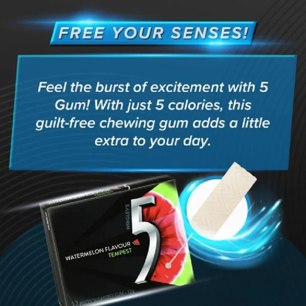 WRIGLEYS 5GUM Tempest Watermelon Flavor Chewing Gum 12 s